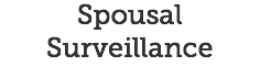 Spousal Surveillance